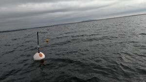 smart buoy